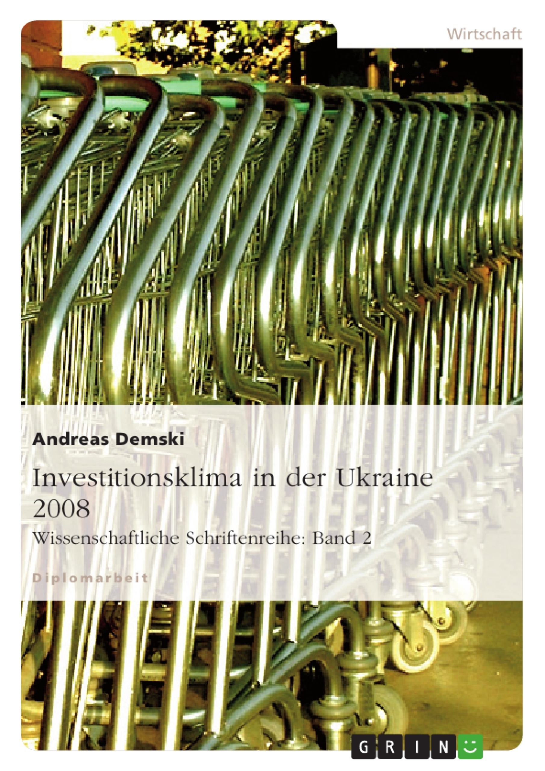 Titre: Investitionsklima in der Ukraine 2008