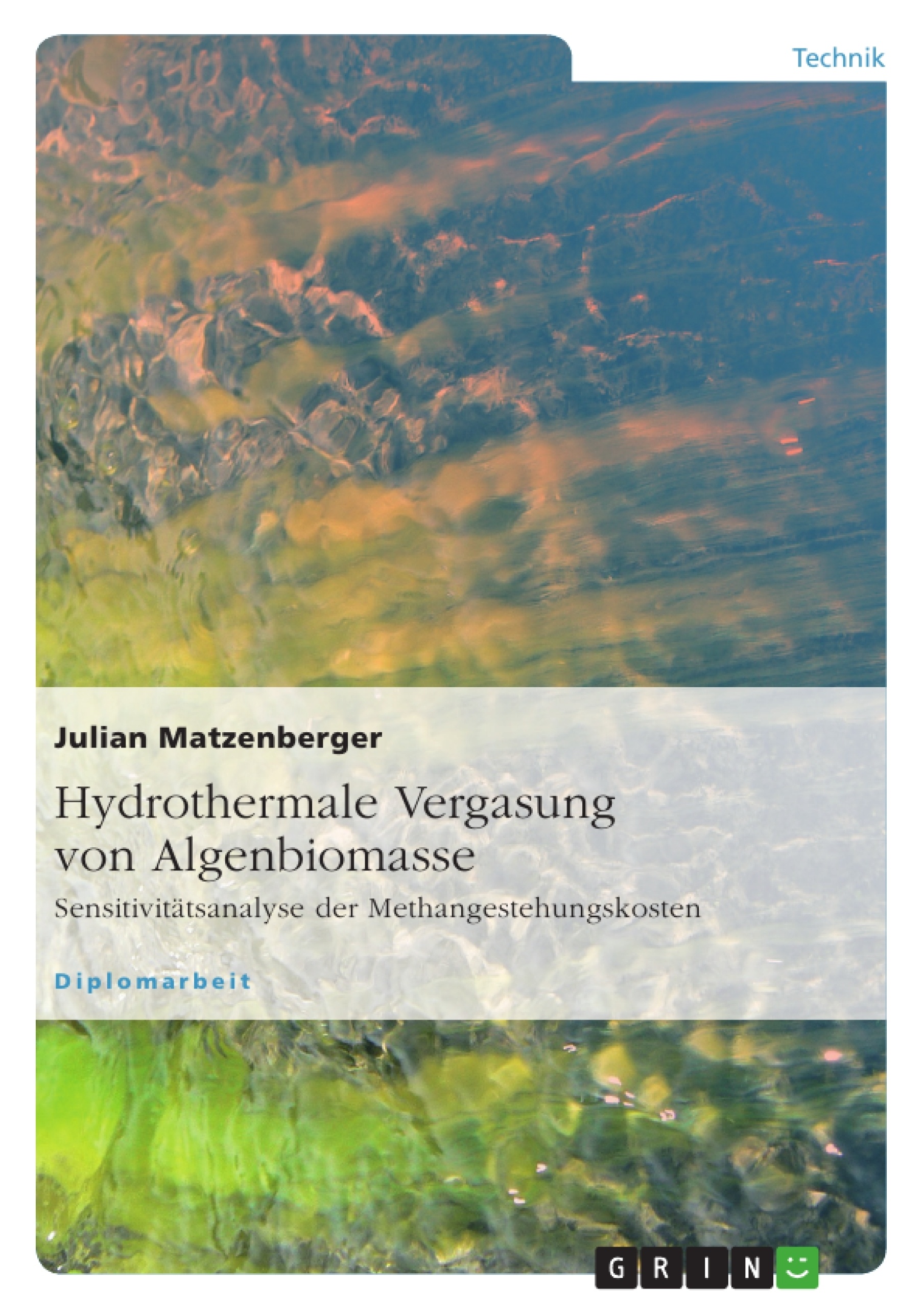 Titre: Hydrothermale Vergasung von Algenbiomasse