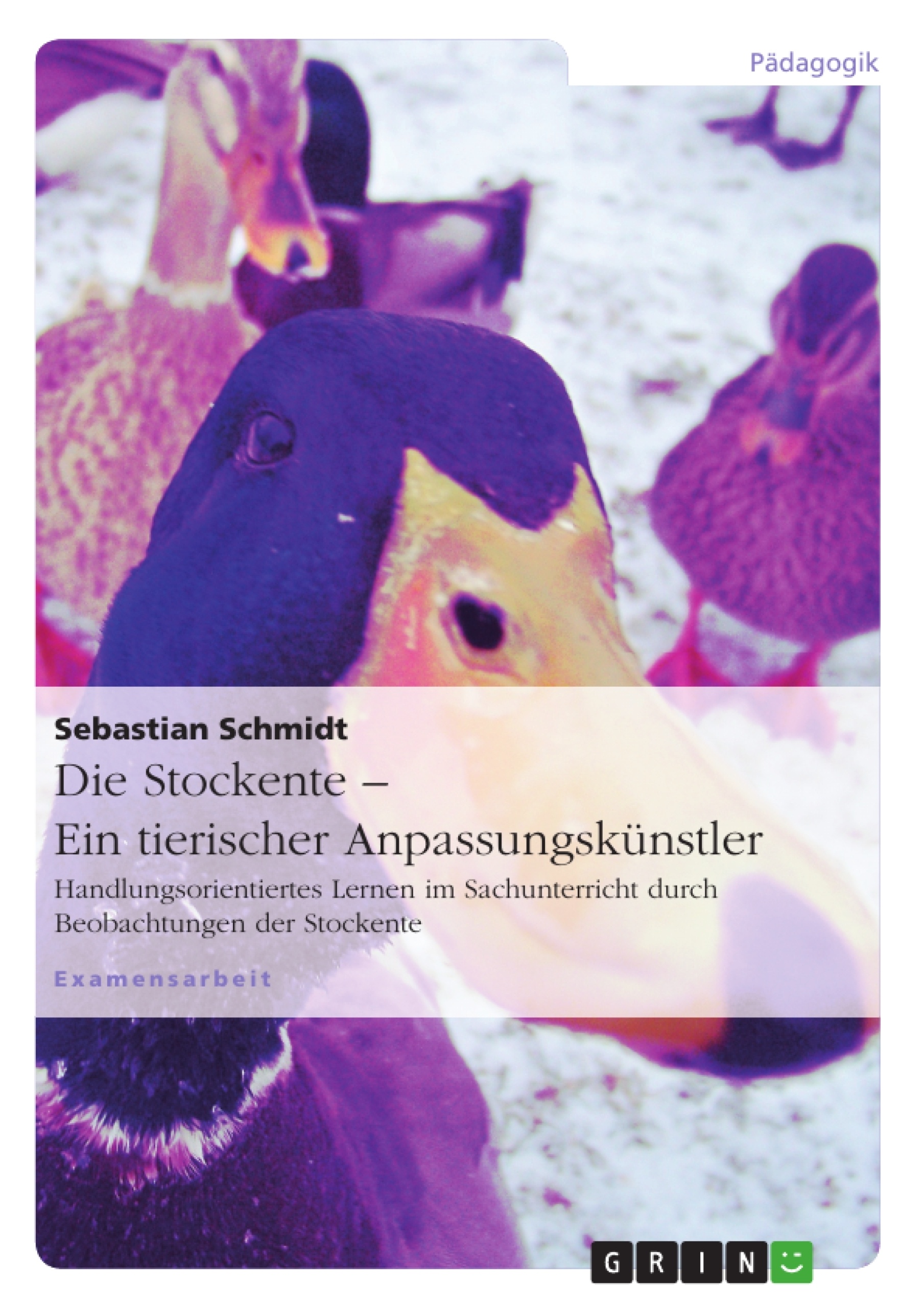Wenn Sie diese Meldung sehen, konnt das Bild nicht geladen und dargestellt werden.