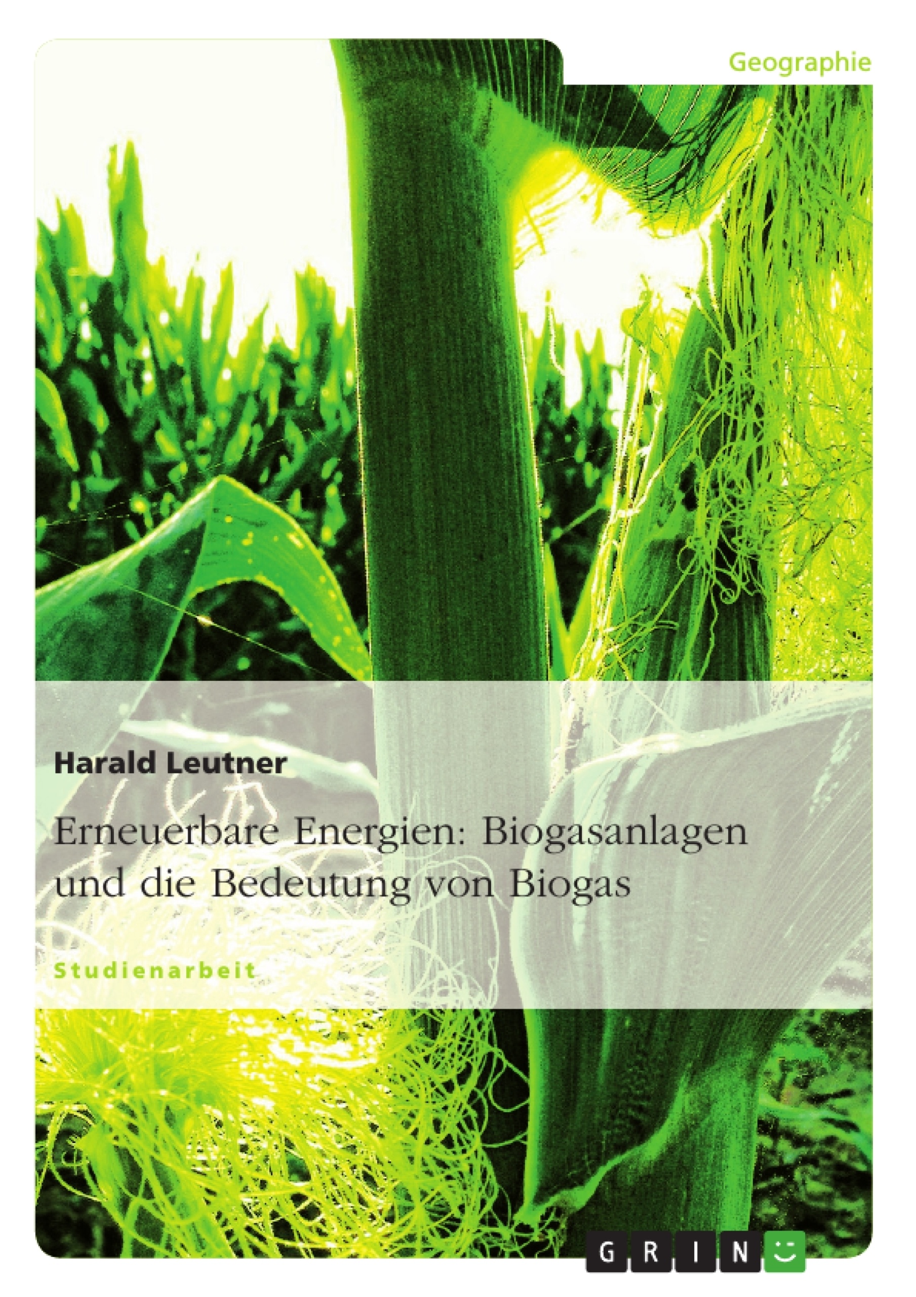 Título: Erneuerbare Energien: Biogasanlagen und die Bedeutung von Biogas