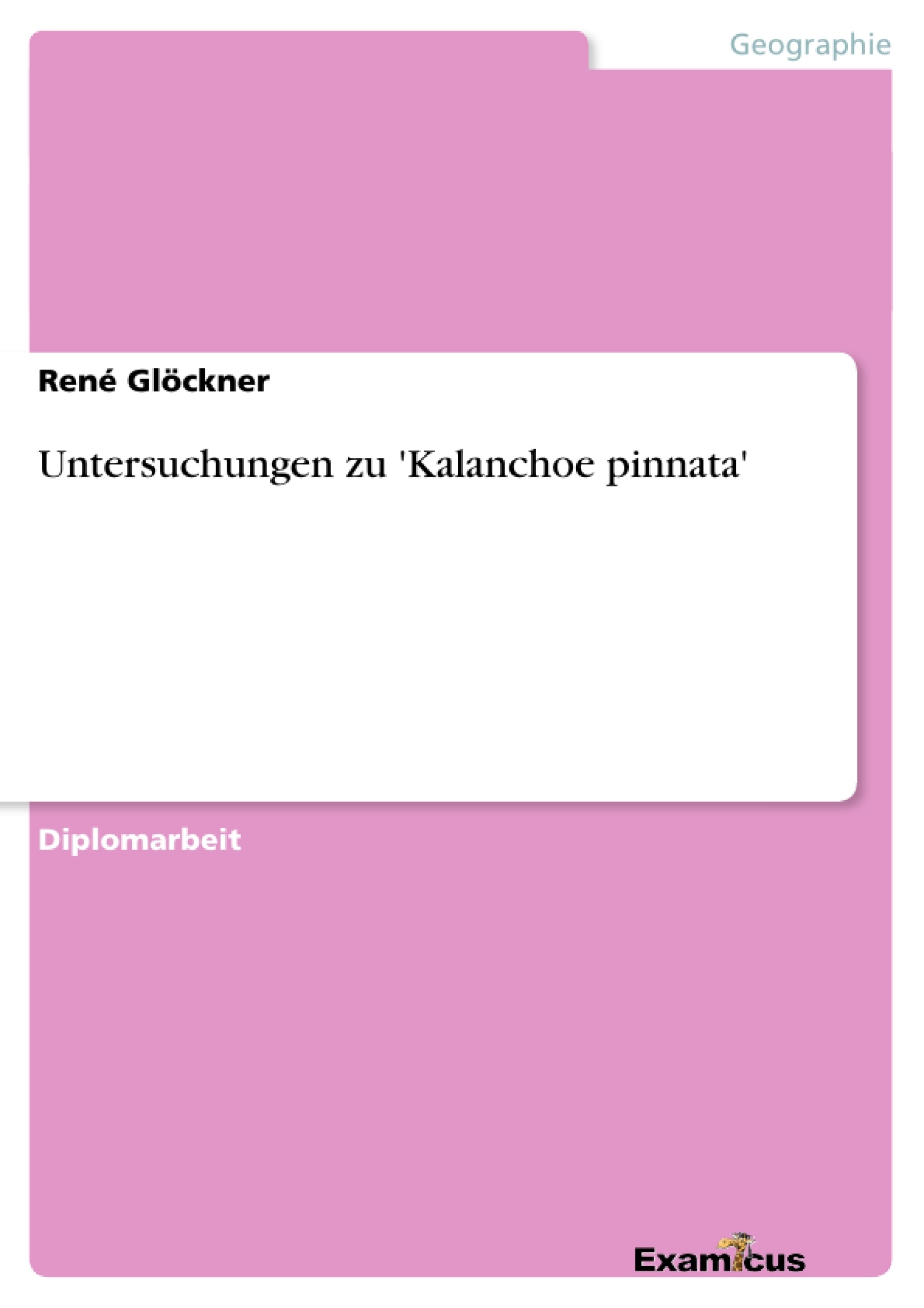 Title: Untersuchungen zu 'Kalanchoe pinnata'