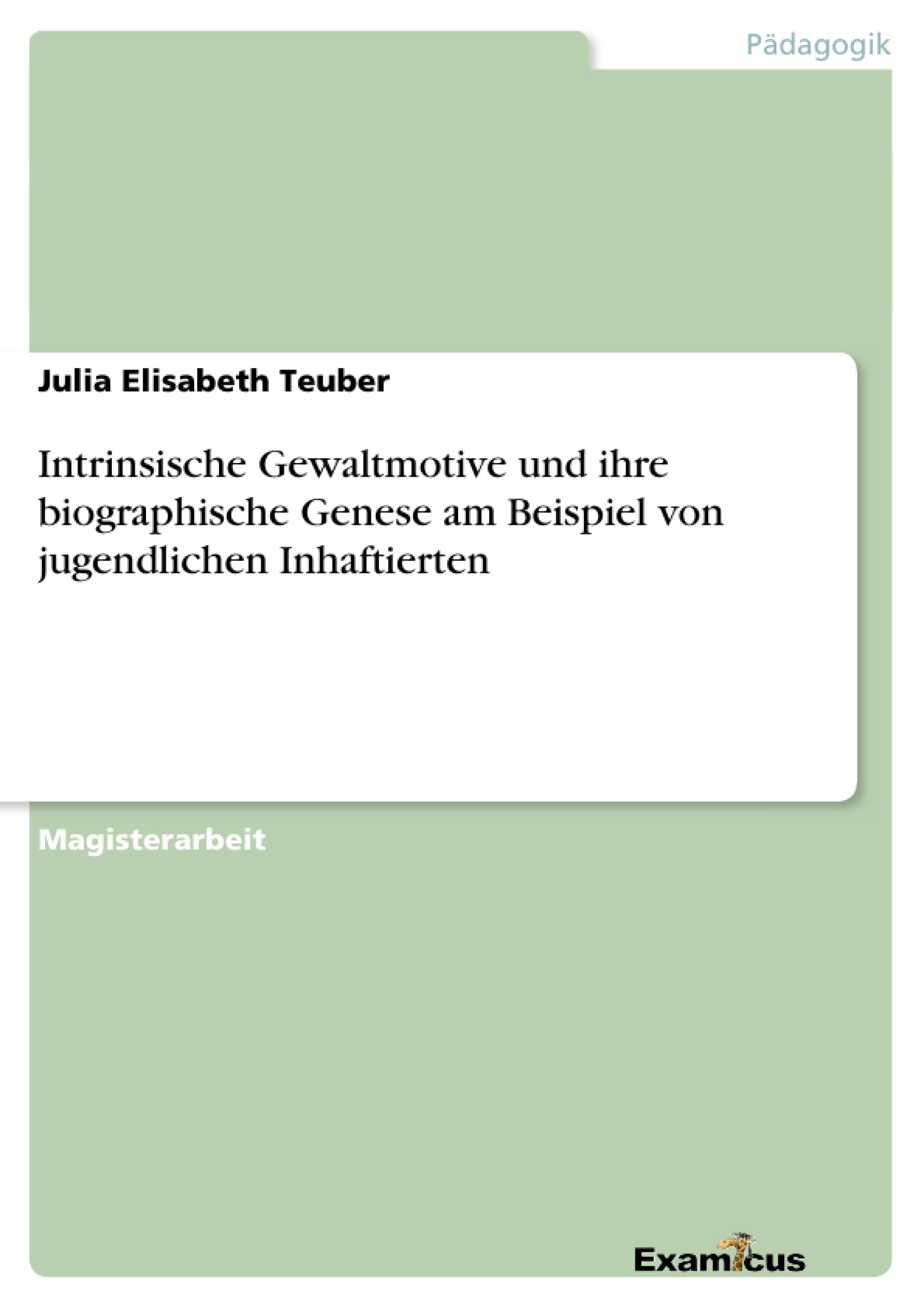 Titre: Intrinsische Gewaltmotive und ihre biographische Genese am Beispiel von jugendlichen Inhaftierten