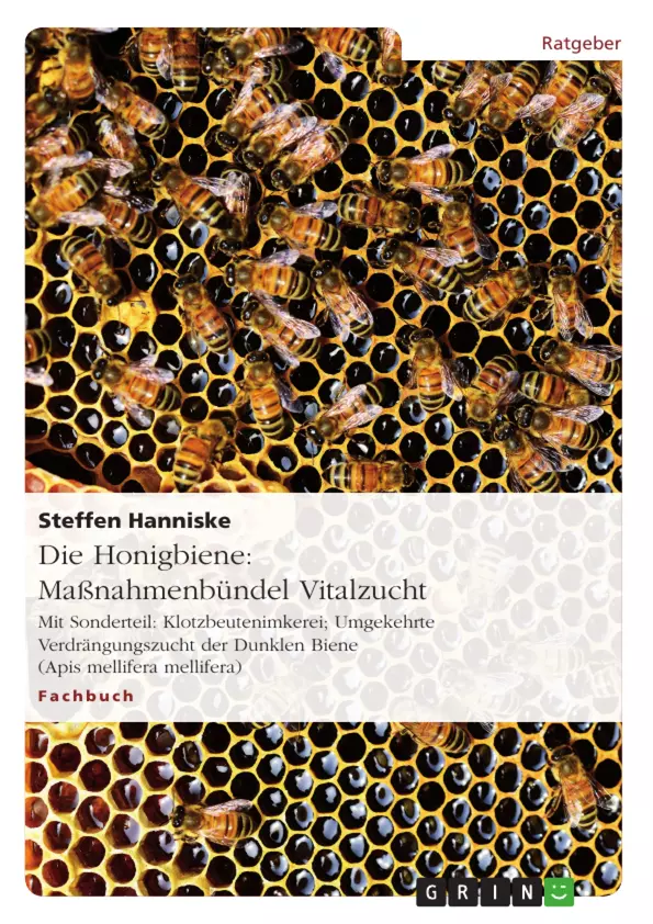 Wenn Sie diese Meldung sehen, konnt das Bild nicht geladen und dargestellt werden.