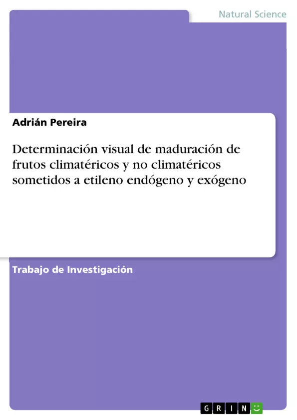 Si ve este mensaje, la imagen no pudo ser cargada y visualizada.