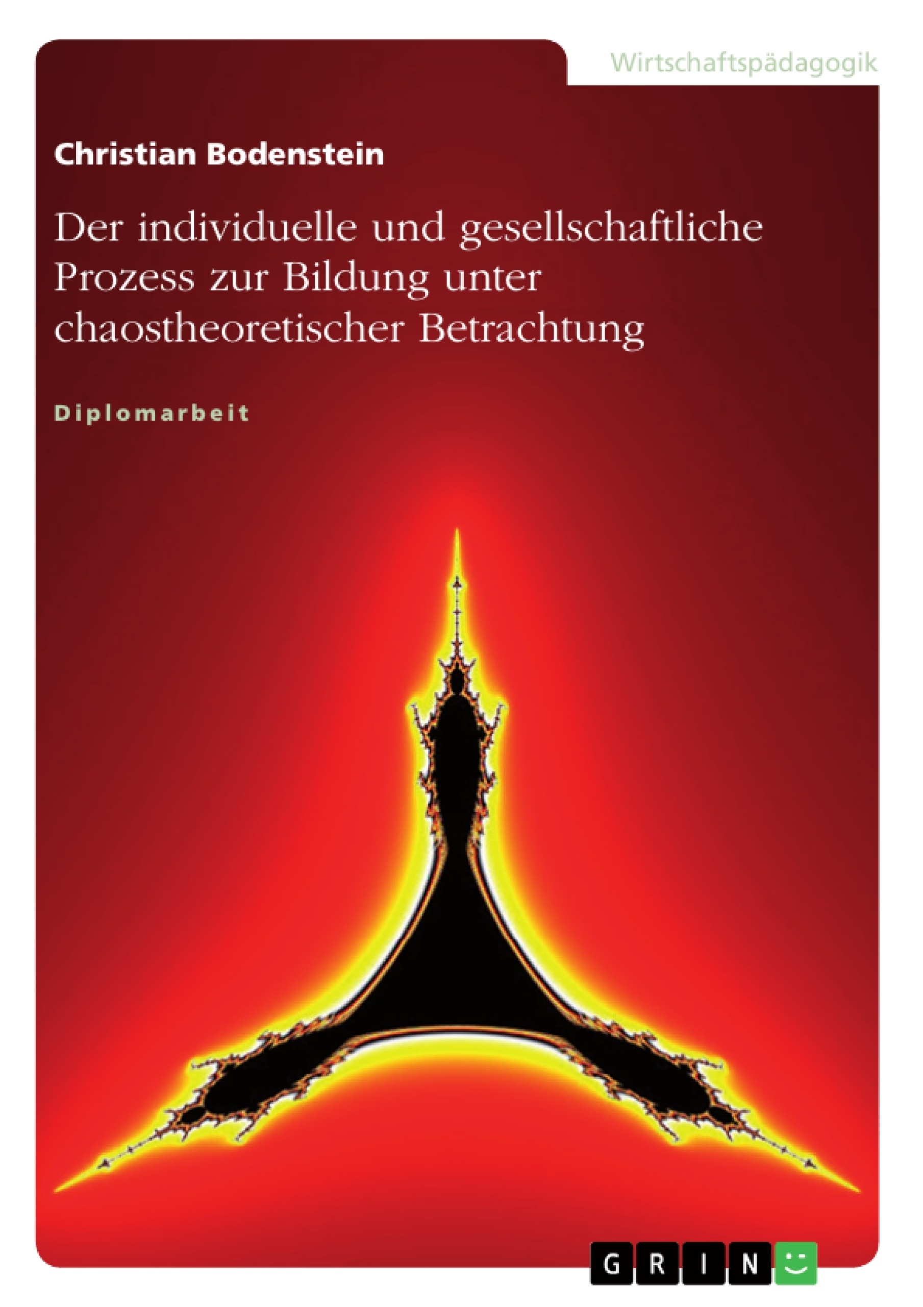 Titel: Der individuelle und gesellschaftliche Prozess zur Bildung unter chaostheoretischer Betrachtung