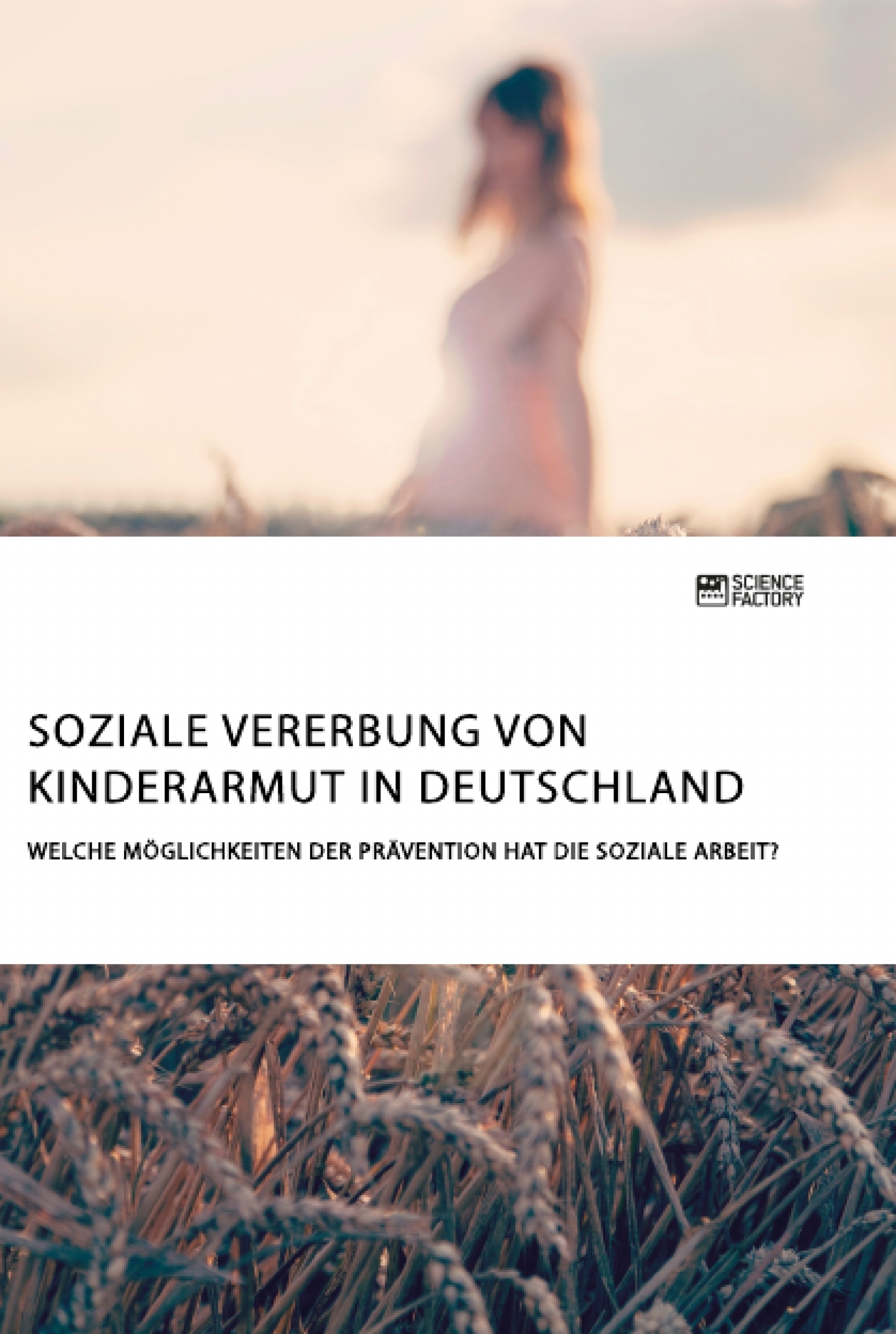 Titel: Soziale Vererbung von Kinderarmut in Deutschland. Welche Möglichkeiten der Prävention hat die Soziale Arbeit?