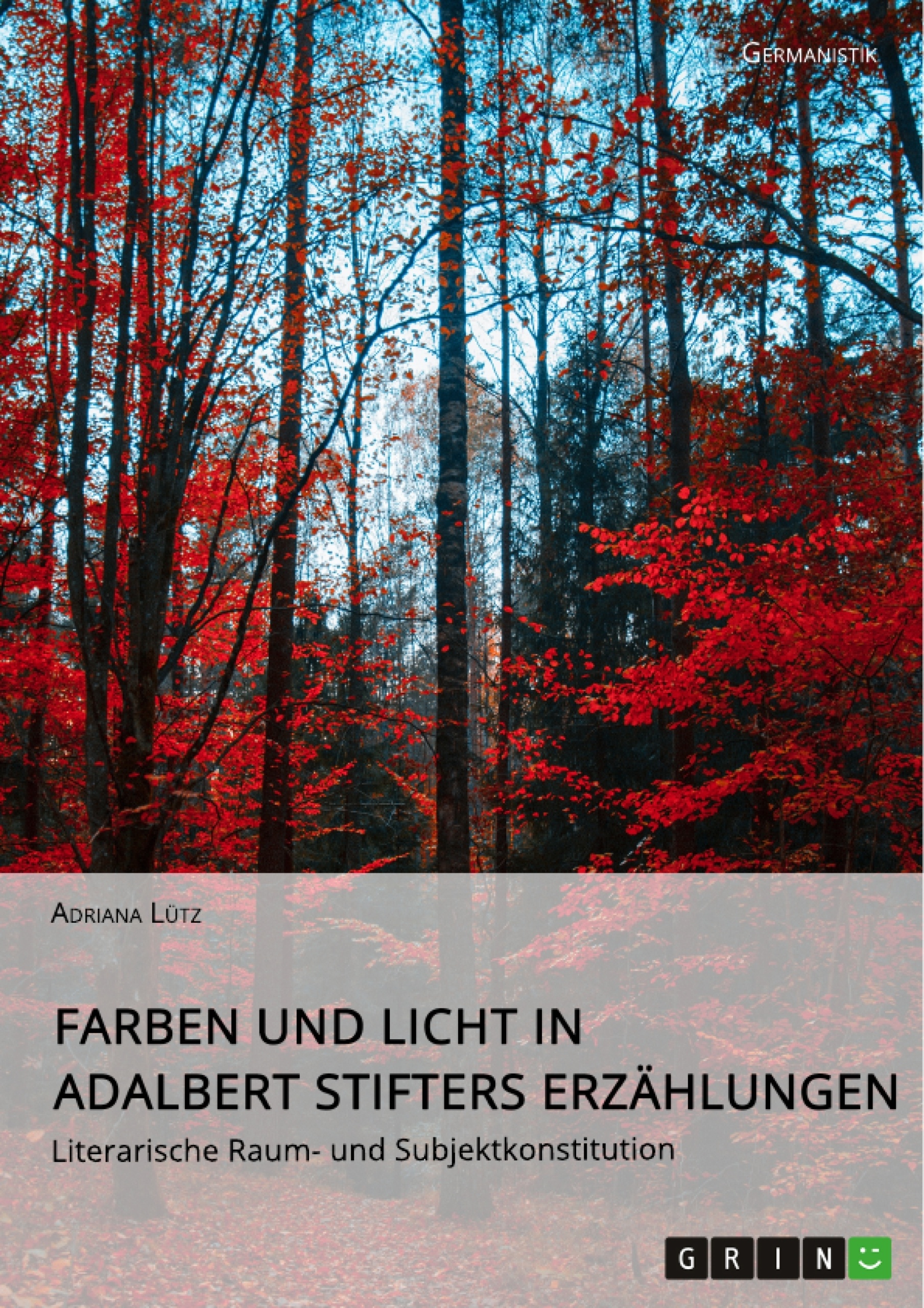 Title: Farben und Licht in Adalbert Stifters Erzählungen. Literarische Raum- und Subjektkonstitution