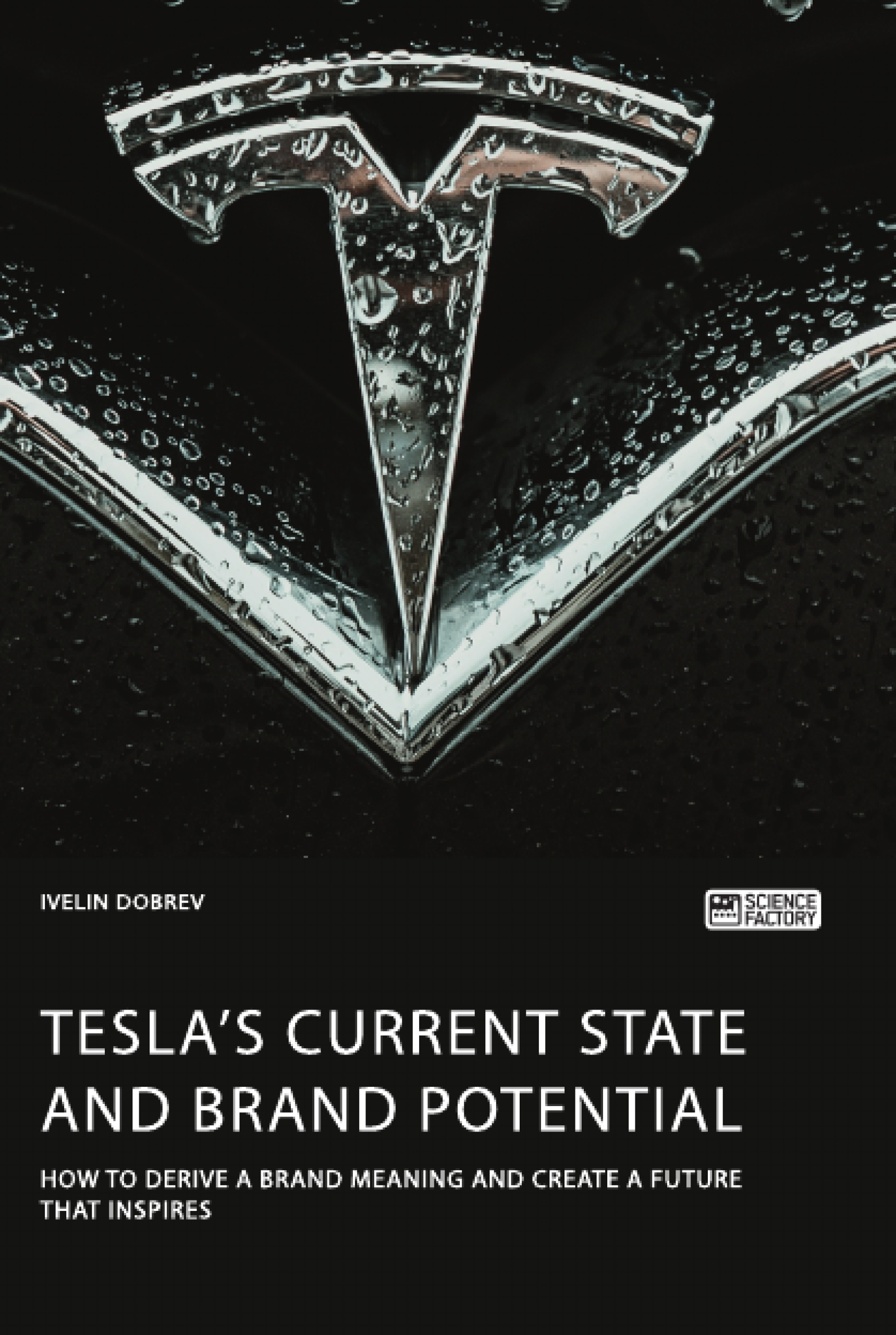 Título: Tesla’s current state and brand potential. How to derive a brand meaning and create a future that inspires