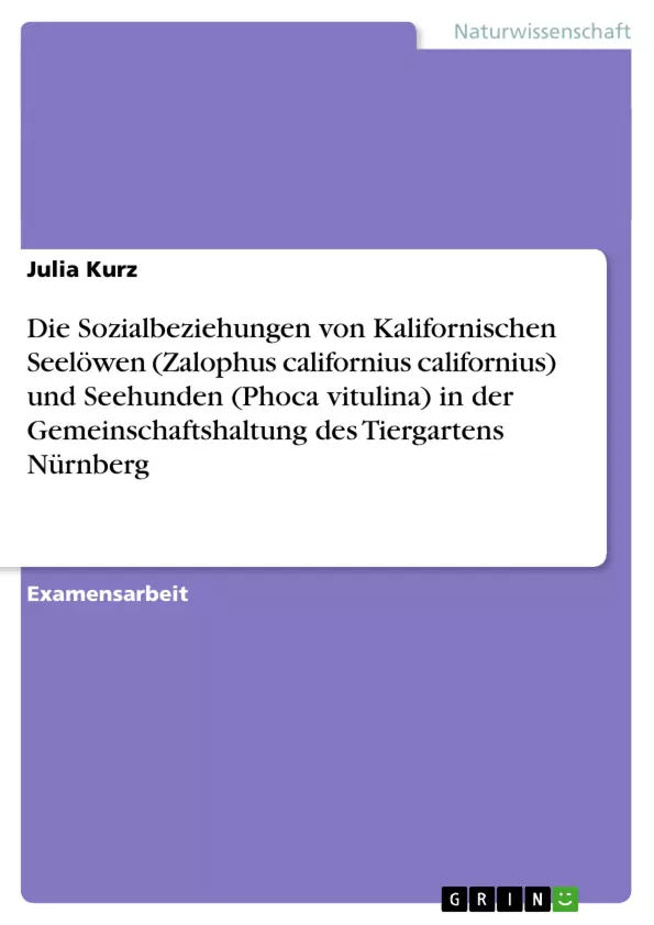 Wenn Sie diese Meldung sehen, konnt das Bild nicht geladen und dargestellt werden.