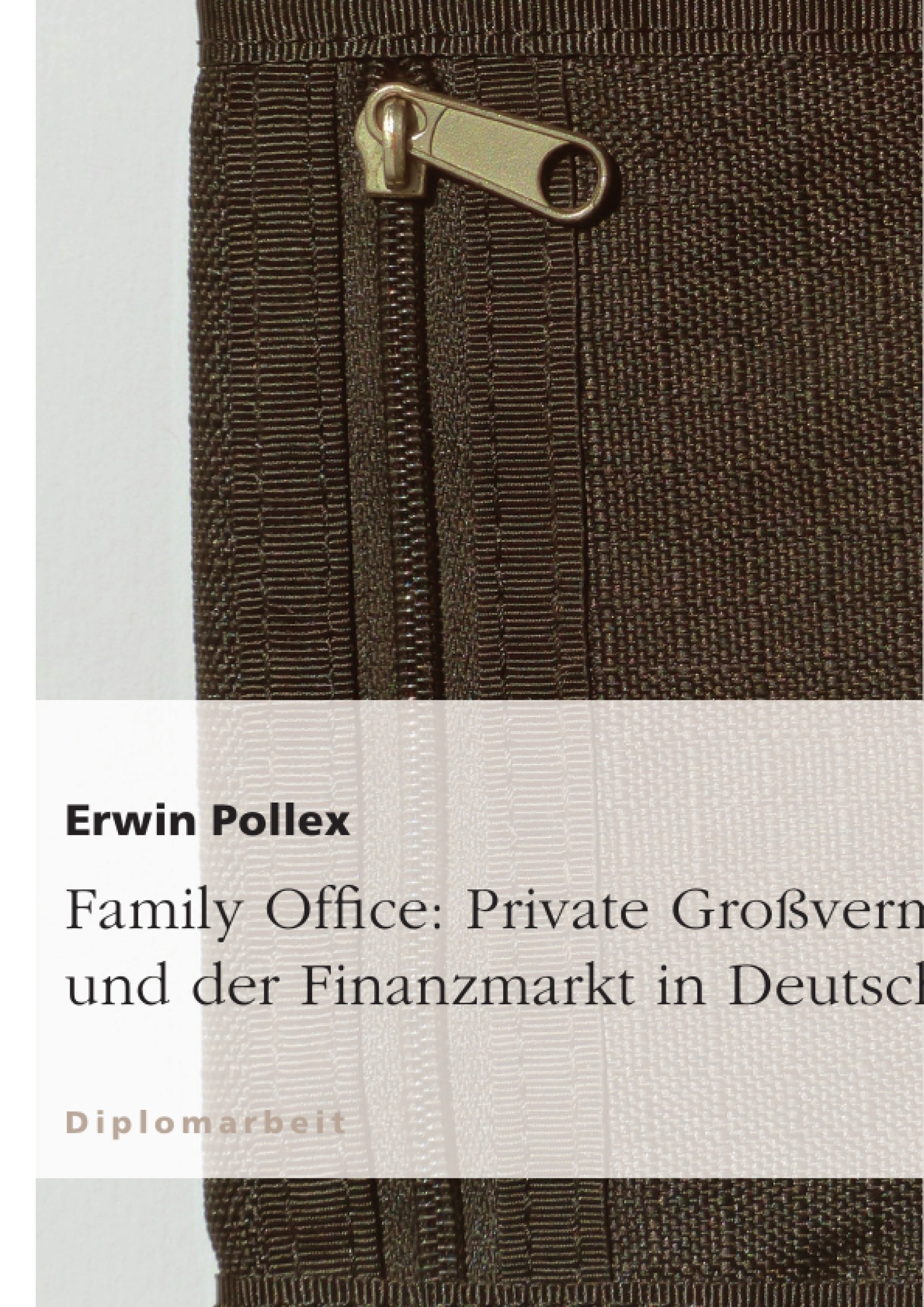 Titel: Family Office: Private Großvermögen und der Finanzmarkt in Deutschland
