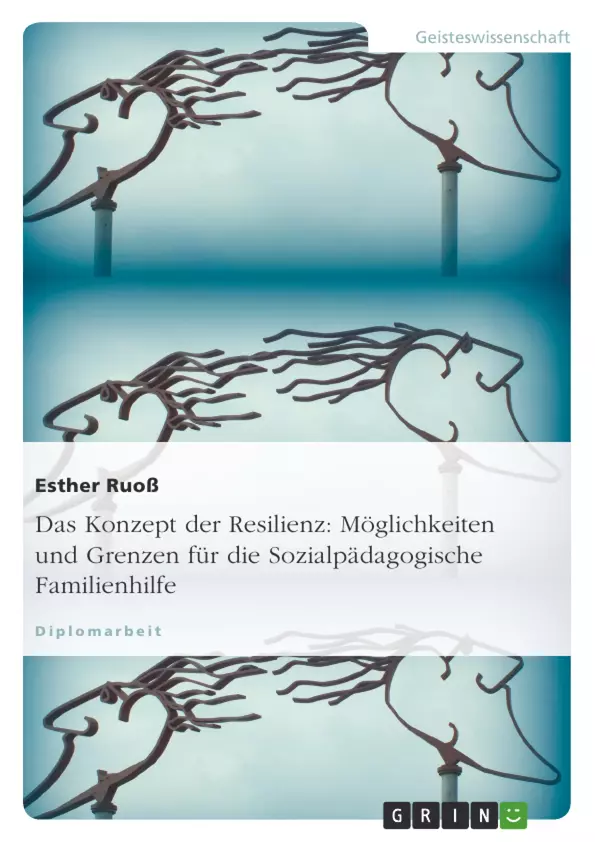 Wenn Sie diese Meldung sehen, konnt das Bild nicht geladen und dargestellt werden.