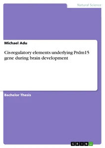Title: Cis-regulatory elements underlying Prdm15 gene during brain development