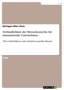 Titel: Verbindlichkeit der Menschenrechte für transnationale Unternehmen