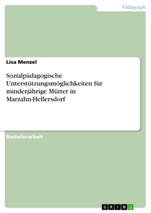 Titel: Sozialpädagogische Unterstützungsmöglichkeiten für minderjährige Mütter in Marzahn-Hellersdorf