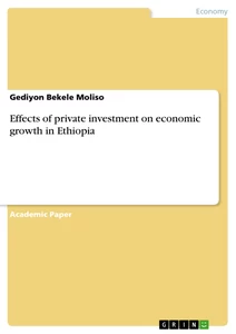 Titel: Effects of private investment on economic growth in Ethiopia