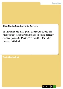 Título: El montaje de una planta procesadora de productos deshidratados de la línea fruver en San Juan de Pasto 2010-2011. Estudio de factibilidad
