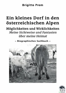 Ein kleines Dorf in den österreichischen Alpen