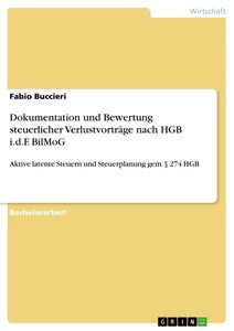 Titel: Dokumentation und Bewertung steuerlicher Verlustvorträge nach HGB i.d.F. BilMoG