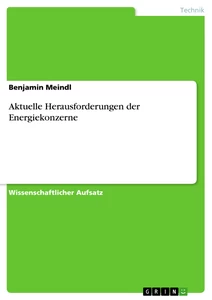 Titel: Aktuelle Herausforderungen der Energiekonzerne
