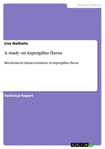 Titel: A study on Aspergillus flavus