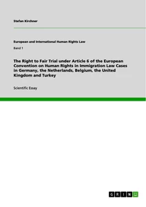 Title: The Right to Fair Trial under Article 6 of the European Convention on Human Rights in Immigration Law Cases in Germany, the Netherlands, Belgium, the United Kingdom and Turkey