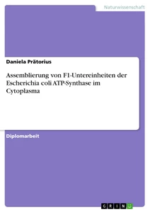 Título: Assemblierung von F1-Untereinheiten der Escherichia coli ATP-Synthase im Cytoplasma