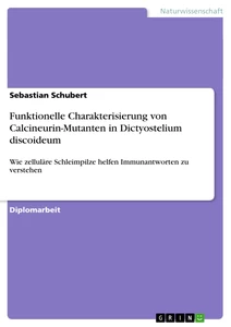 Title: Funktionelle Charakterisierung von Calcineurin-Mutanten in Dictyostelium discoideum