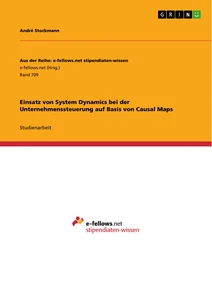 Titel: Einsatz von System Dynamics bei der Unternehmenssteuerung auf Basis von Causal Maps
