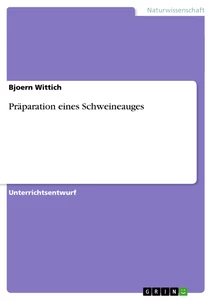 Präparation eines Schweineauges