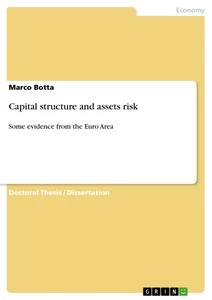 Title: Capital structure and assets risk