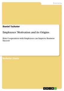 Employees’ Motivation and its Origins