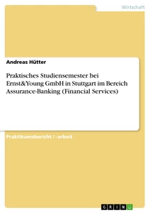 Titel: Praktisches Studiensemester bei Ernst&Young GmbH in Stuttgart im Bereich Assurance-Banking (Financial Services)