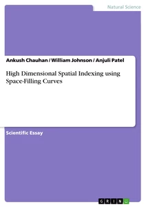Title: High Dimensional Spatial Indexing using Space-Filling Curves