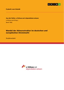 Titel: Wandel der Akteursstruktur im deutschen und europäischen Strommarkt