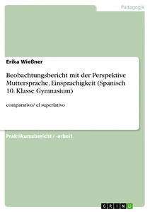 Titel: Beobachtungsbericht mit der Perspektive Muttersprache, Einsprachigkeit (Spanisch 10. Klasse Gymnasium)