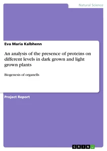 Title: An analysis of the presence of proteins on different levels in dark grown and light grown plants