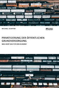 Titel: Privatisierung der öffentlichen Grundversorgung. Was heißt das für den Kunden?