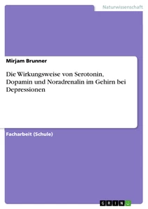 Titel: Die Wirkungsweise von Serotonin, Dopamin und Noradrenalin im Gehirn bei Depressionen