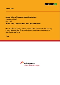 Titel: Brazil. The Construction of a World Power