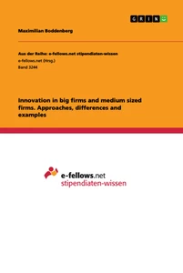 Title: Innovation in big firms and medium sized firms. Approaches, differences and examples