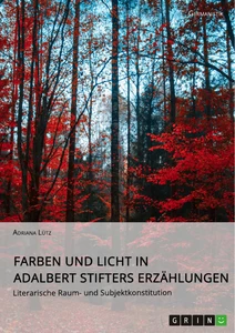 Titel: Farben und Licht in Adalbert Stifters Erzählungen. Literarische Raum- und Subjektkonstitution