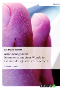 Titel: Wundmanagement. Dokumentation einer Wunde im Rahmen des Qualitätsmanagements.