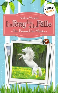Titel: Ein Pony für alle Fälle - Erster Roman: Ein Freund für Marie