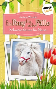 Titel: Ein Pony für alle Fälle - Achter Roman: Schwere Zeiten für Marie