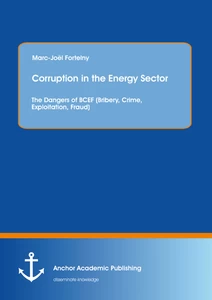 Title: Corruption in the Energy Sector: The Dangers of BCEF (Bribery, Crime, Exploitation, Fraud)
