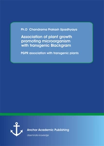 Title: Association of plant growth promoting microorganism with transgenic Blackgram. PGPR association with transgenic plants