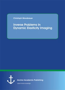 Title: Inverse Problems In Dynamic Elasticity Imaging