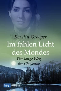 Titel: Im fahlen Licht des Mondes
