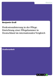 Titel: Professionalisierung in der Pflege. Einrichtung einer Pflegekammer in Deutschland im internationalen Vergleich