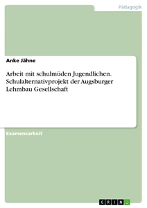 Titel: Arbeit mit schulmüden Jugendlichen. Schulalternativprojekt der Augsburger Lehmbau Gesellschaft